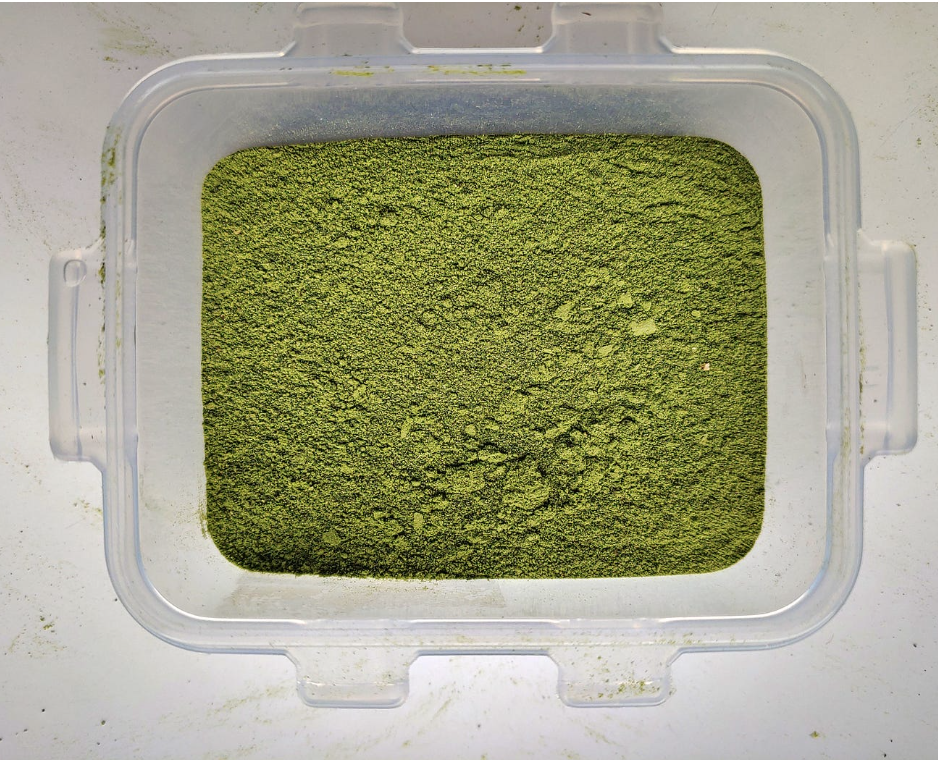 buy peyote powder online