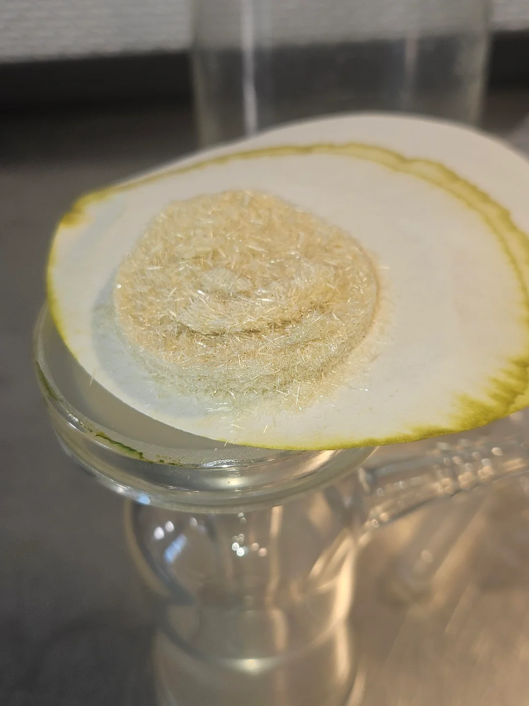 buy mescaline hcl online